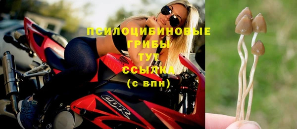 амф Верхнеуральск