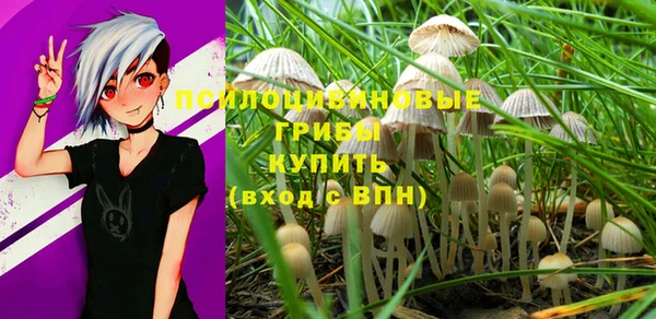 Альфа ПВП Бородино
