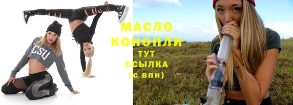 гидра Богданович