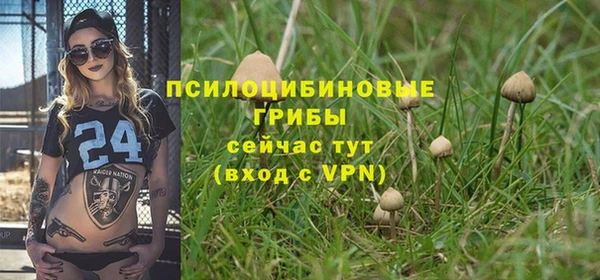 амф Верхнеуральск
